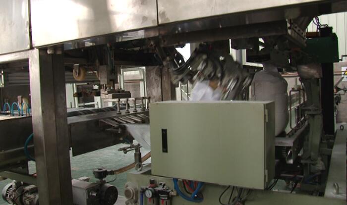 大單體全自動(dòng)包裝機(jī) 大單體全自動(dòng)包裝機(jī)